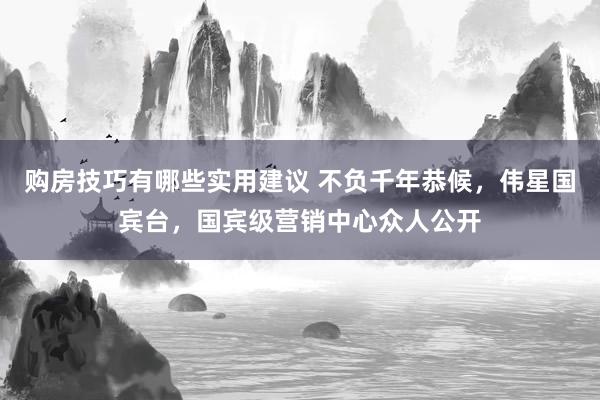 购房技巧有哪些实用建议 不负千年恭候，伟星国宾台，国宾级营销中心众人公开