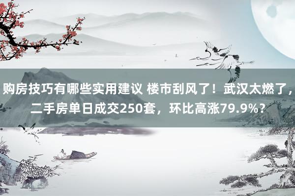 购房技巧有哪些实用建议 楼市刮风了！武汉太燃了，二手房单日成交250套，环比高涨79.9%？