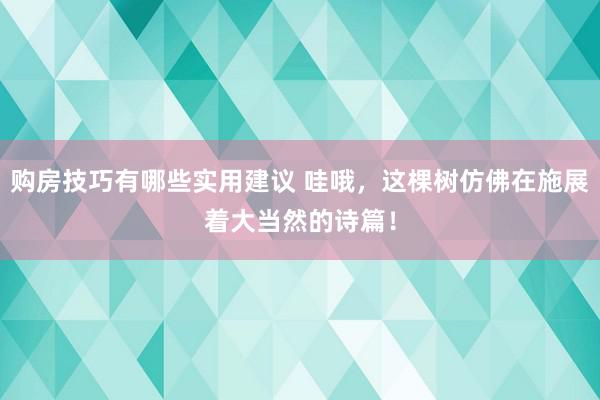 购房技巧有哪些实用建议 哇哦，这棵树仿佛在施展着大当然的诗篇！