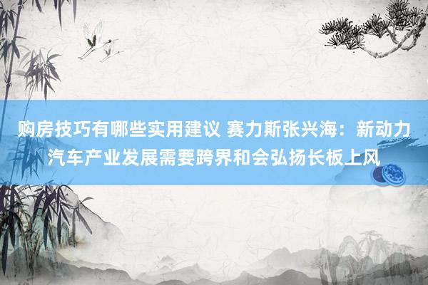 购房技巧有哪些实用建议 赛力斯张兴海：新动力汽车产业发展需要跨界和会弘扬长板上风