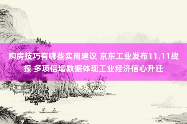 购房技巧有哪些实用建议 京东工业发布11.11战报 多项倍增数据体现工业经济信心升迁