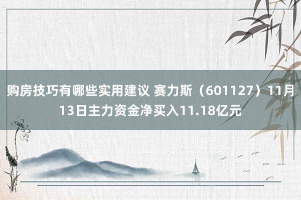 购房技巧有哪些实用建议 赛力斯（601127）11月13日主力资金净买入11.18亿元