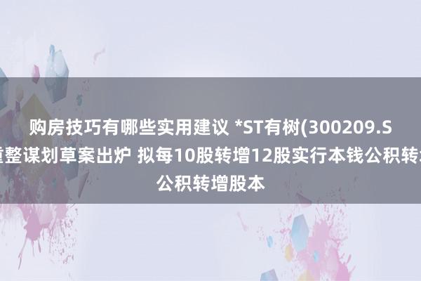 购房技巧有哪些实用建议 *ST有树(300209.SZ)：重整谋划草案出炉 拟每10股转增12股实行本钱公积转增股本