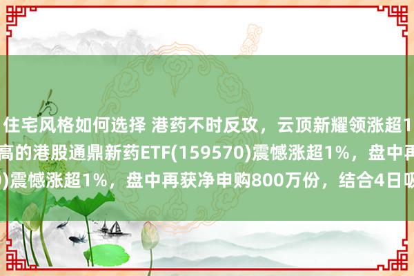 住宅风格如何选择 港药不时反攻，云顶新耀领涨超12%，鼎新药纯度最高的港股通鼎新药ETF(159570)震憾涨超1%，盘中再获净申购800万份，结合4日吸金！