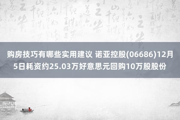 购房技巧有哪些实用建议 诺亚控股(06686)12月5日耗资约25.03万好意思元回购10万股股份