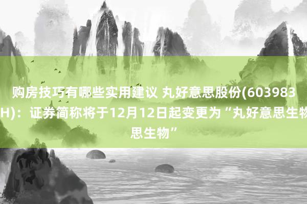 购房技巧有哪些实用建议 丸好意思股份(603983.SH)：证券简称将于12月12日起变更为“丸好意思生物”