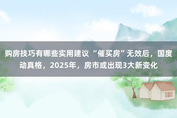 购房技巧有哪些实用建议 “催买房”无效后，国度动真格，2025年，房市或出现3大新变化