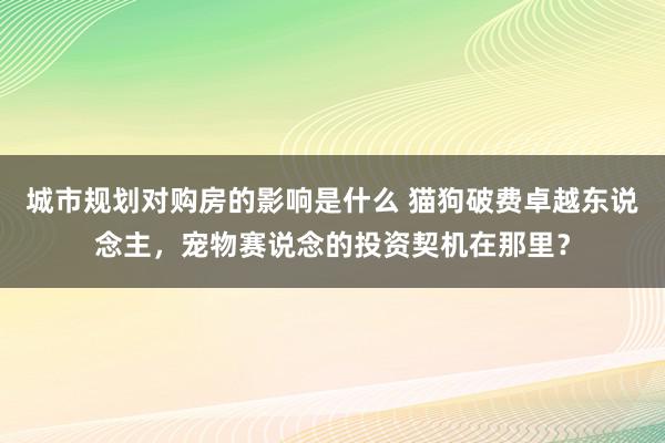 城市规划对购房的影响是什么 猫狗破费卓越东说念主，宠物赛说念的投资契机在那里？