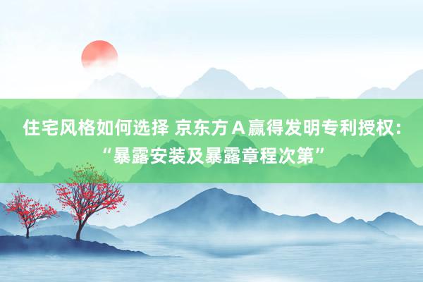 住宅风格如何选择 京东方Ａ赢得发明专利授权：“暴露安装及暴露章程次第”