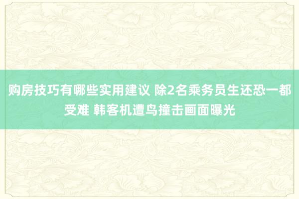 购房技巧有哪些实用建议 除2名乘务员生还恐一都受难 韩客机遭鸟撞击画面曝光