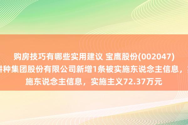 购房技巧有哪些实用建议 宝鹰股份(002047)控股的深圳市宝鹰耕种集团股份有限公司新增1条被实施东说念主信息，实施主义72.37万元