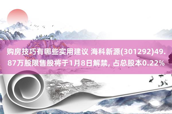 购房技巧有哪些实用建议 海科新源(301292)49.87万股限售股将于1月8日解禁, 占总股本0.22%