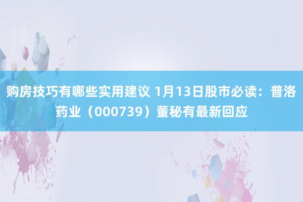 购房技巧有哪些实用建议 1月13日股市必读：普洛药业（000739）董秘有最新回应