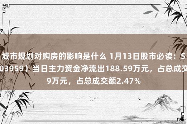 城市规划对购房的影响是什么 1月13日股市必读：ST百利（603959）当日主力资金净流出188.59万元，占总成交额2.47%