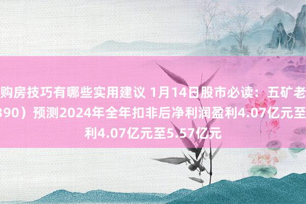 购房技巧有哪些实用建议 1月14日股市必读：五矿老本（600390）预测2024年全年扣非后净利润盈利4.07亿元至5.57亿元