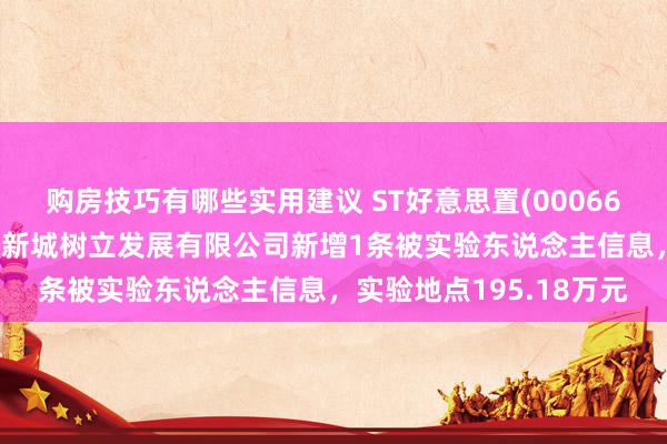 购房技巧有哪些实用建议 ST好意思置(000667)控股的武汉好意思好新城树立发展有限公司新增1条被实验东说念主信息，实验地点195.18万元