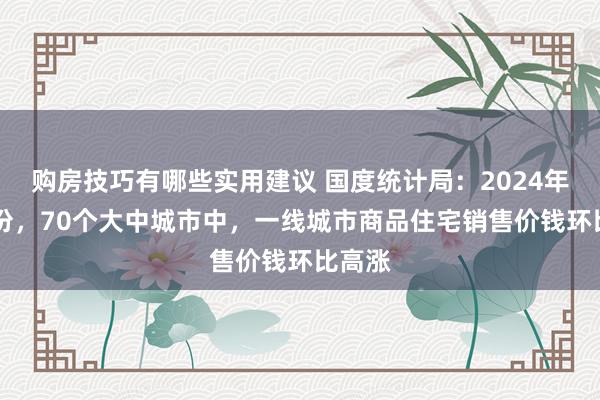 购房技巧有哪些实用建议 国度统计局：2024年12月份，70个大中城市中，一线城市商品住宅销售价钱环比高涨