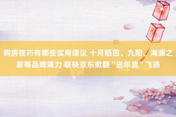 购房技巧有哪些实用建议 十月稻田、九阳、海澜之家等品牌竭力 联袂京东掀翻“送年货”飞扬