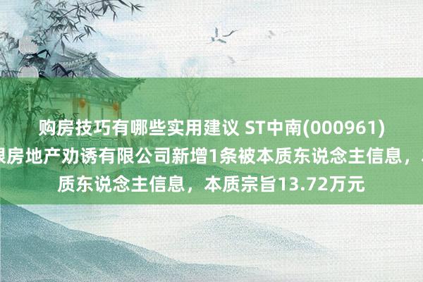 购房技巧有哪些实用建议 ST中南(000961)参股的南京锦安中垠房地产劝诱有限公司新增1条被本质东说念主信息，本质宗旨13.72万元