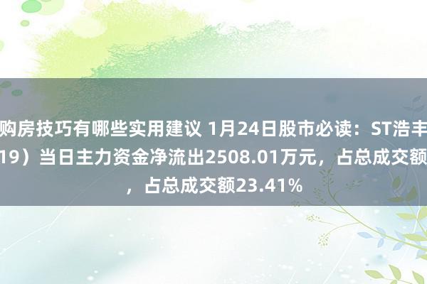 购房技巧有哪些实用建议 1月24日股市必读：ST浩丰（300419）当日主力资金净流出2508.01万元，占总成交额23.41%