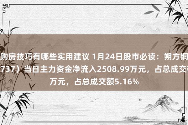 购房技巧有哪些实用建议 1月24日股市必读：朔方铜业（000737）当日主力资金净流入2508.99万元，占总成交额5.16%