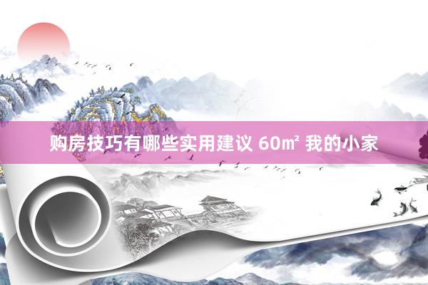 购房技巧有哪些实用建议 60㎡ 我的小家