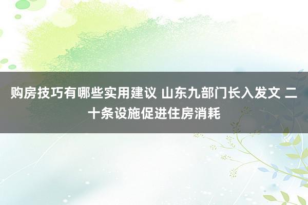 购房技巧有哪些实用建议 山东九部门长入发文 二十条设施促进住房消耗