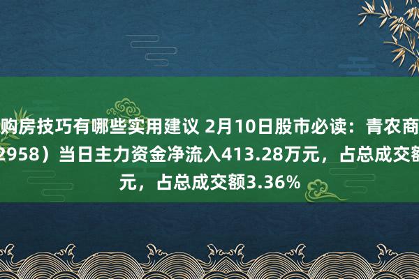 购房技巧有哪些实用建议 2月10日股市必读：青农商行（002958）当日主力资金净流入413.28万元，占总成交额3.36%