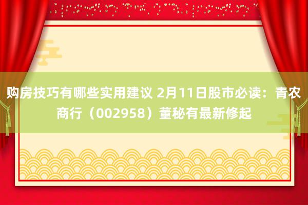 购房技巧有哪些实用建议 2月11日股市必读：青农商行（002958）董秘有最新修起