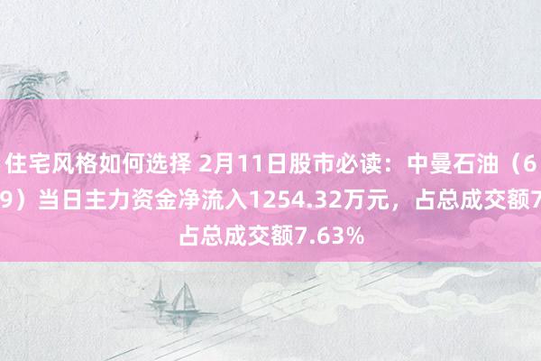 住宅风格如何选择 2月11日股市必读：中曼石油（603619）当日主力资金净流入1254.32万元，占总成交额7.63%