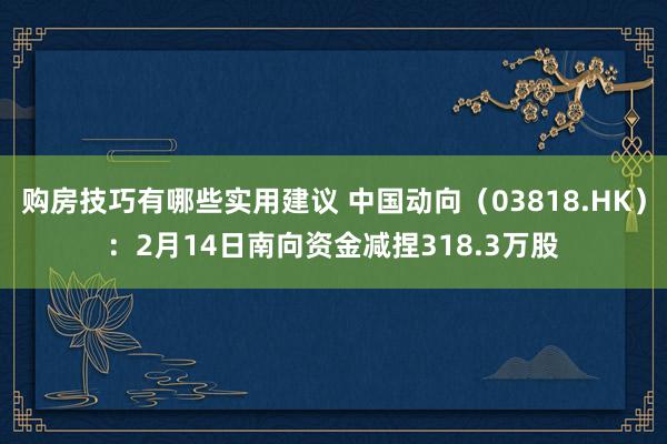 购房技巧有哪些实用建议 中国动向（03818.HK）：2月14日南向资金减捏318.3万股