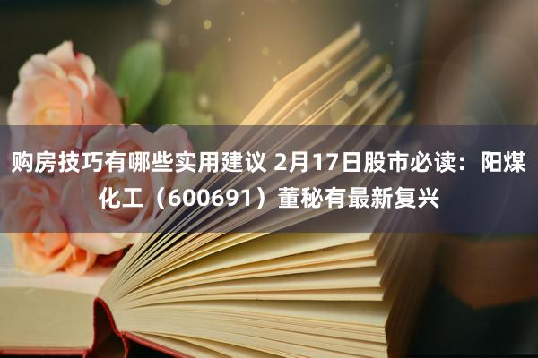 购房技巧有哪些实用建议 2月17日股市必读：阳煤化工（600691）董秘有最新复兴