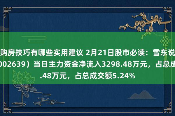 购房技巧有哪些实用建议 2月21日股市必读：雪东说念主股份（002639）当日主力资金净流入3298.48万元，占总成交额5.24%