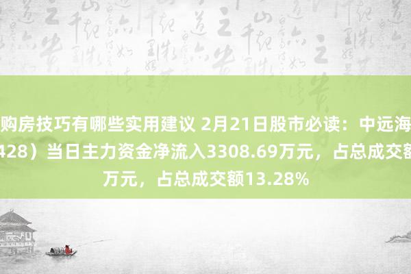 购房技巧有哪些实用建议 2月21日股市必读：中远海特（600428）当日主力资金净流入3308.69万元，占总成交额13.28%