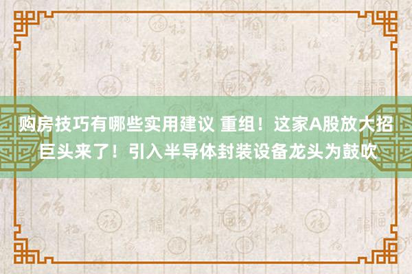 购房技巧有哪些实用建议 重组！这家A股放大招 巨头来了！引入半导体封装设备龙头为鼓吹